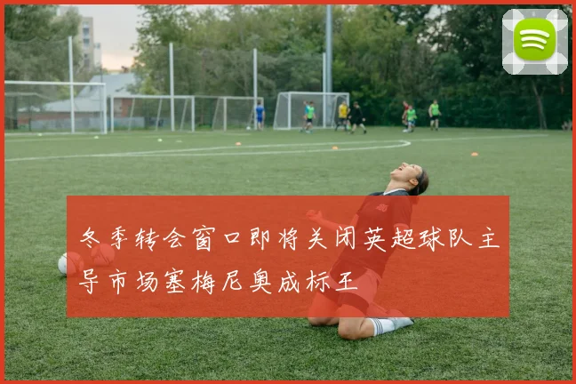 冬季转会窗口即将关闭英超球队主导市场塞梅尼奥成标王